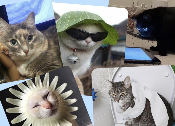 Психологические тесты онлайн: интересные вопросы и точные результаты